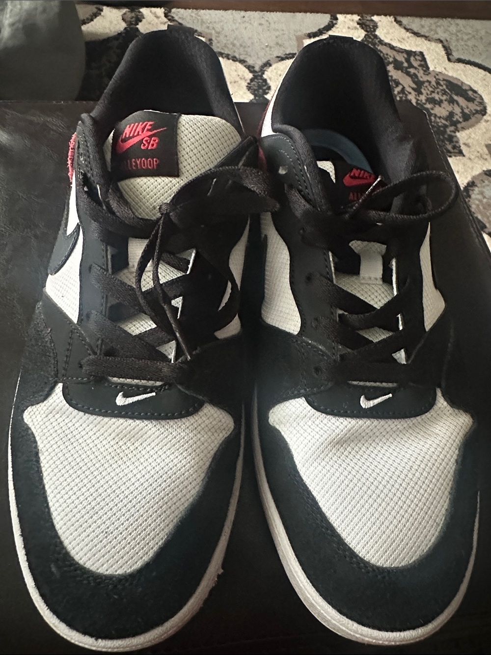 Men’s Nike SB Alleyoop Black and Red Shoes
